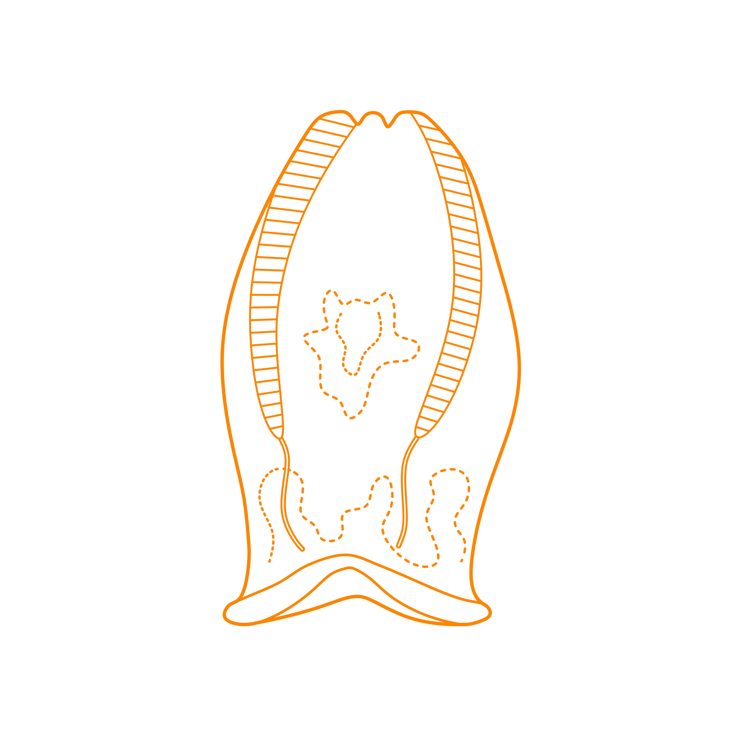 Animals Jellyfish Bloodybelly Comb Jellyfish Stencil Svg Design File Free Vectors